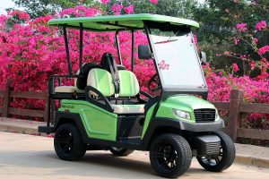 Bintelli Beyond 4PR Street Legal Golf Cart - Aluminum Frame